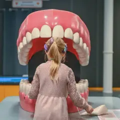 Ile trwa wizyta u dentysty? Od przeglądu po kanałowe realne czasy.