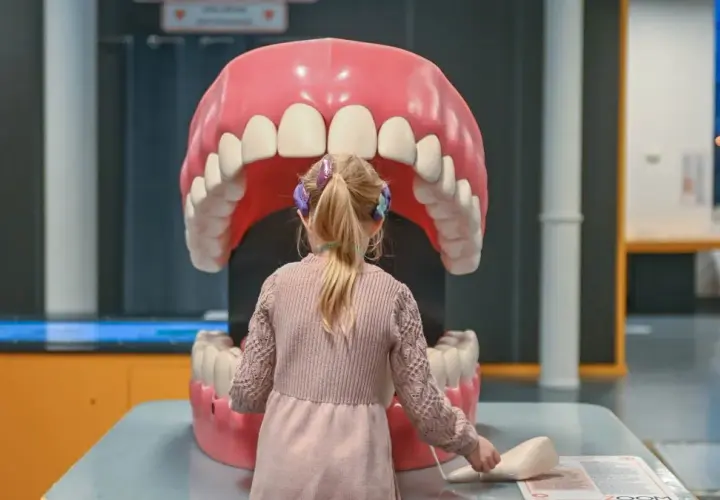 Ile trwa wizyta u dentysty? Od przeglądu po kanałowe realne czasy.