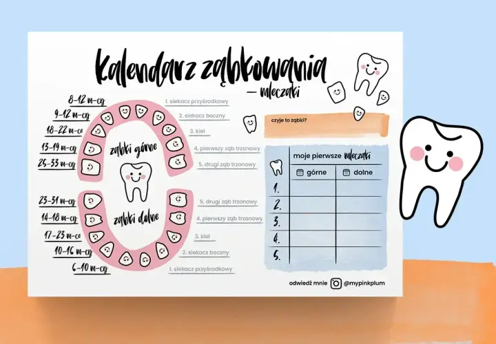 Kalendarz ząbkowania mleczaków z uśmiechniętymi ząbkami. Pomaga śledzić, kiedy wychodzą zęby.