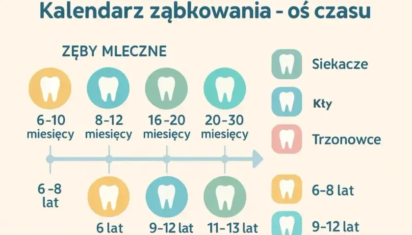 Ile zębów ma dziecko? Od mleczaków po stałe uzębienie przewodnik