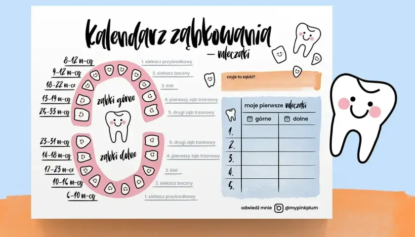 Kalendarz ząbkowania mleczaków z uśmiechniętymi ząbkami. Pomaga śledzić, kiedy wychodzą zęby.